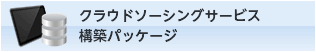 クラウドソーシングサービスサイト構築パッケージ