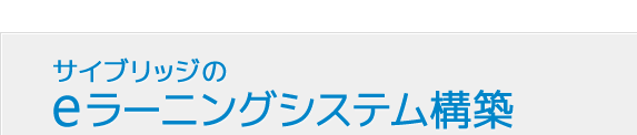 サイブリッジのeラーニングシステム構築