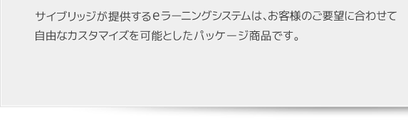 サイブリッジが提供するeラーニングシステムは、お客様のご要望に合わせて自由なカスタマイズを可能としたパッケージ商品です。