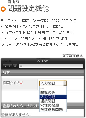 自由な問題設定機能